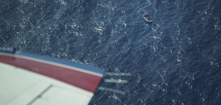 Migration_ueber_das_71325234.jpg