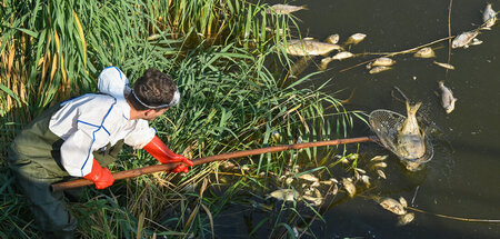 Andreas Hein, Ranger bei der Naturwacht Brandenburg, steht mit S...