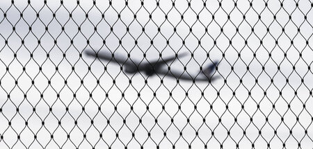 Deportation Class: Die meisten Abschiebungen werden auf dem Luft...