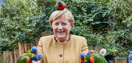 Bundespapagei: Angela Merkel mit staatsnahen Vögeln in Marlow (2...