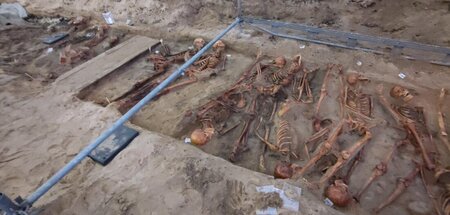 Dicht an dicht: Gebeine der auf dem Bremer »Russenfriedhof« vers...