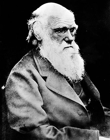 Gott als Schöpfer abgeschafft: Charles Robert Darwin (12. Februa...