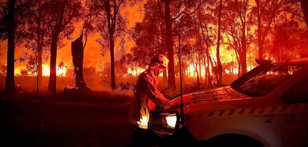 Auch in diesem Jahr kam es zu verheerenden Waldbränden in Austra
