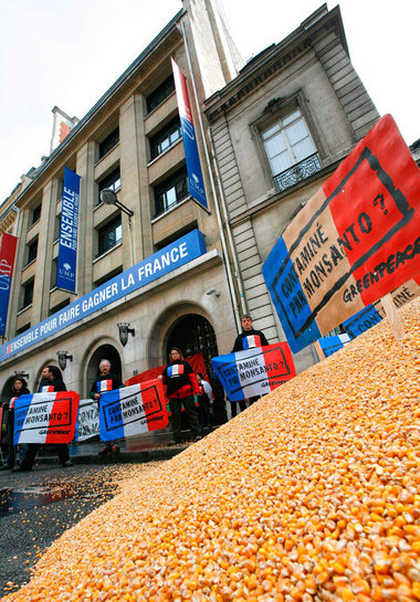 Greenpeace-Aktivisten protestierten 2008 in Paris gegen die
Zul...