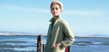 Da ist was im Anflug auf Melanie Daniels (Tippi Hedren): »Die Vö... Da ist was im Anflug auf Melanie Daniels (Tippi Hedren): »Die Vö...