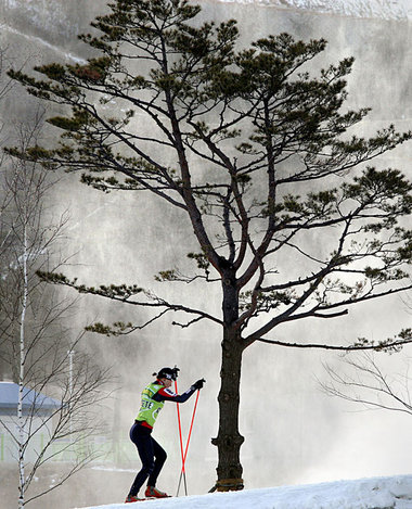 Dieser Baum ist noch nicht außer Kraft gesetzt