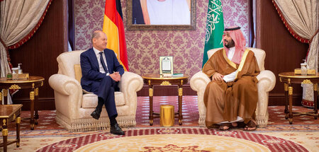 »Du solltest mal einen Journalisten in der Spree versenken …« (S...