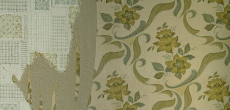 Bis der Wandschmuck abfällt: Viele müssen in ihrer Bleibe bleibe...