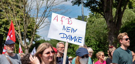Protest gegen den Landesparteitag der AfD Niedersachsen (Brettor...