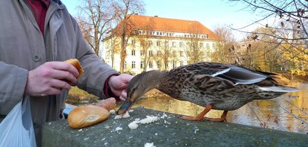 »Entschuldigen Sie bitte, das sollten Sie aber nicht tun. Das Br...