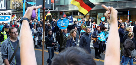 Teilnehmer der AfD-Kundgebung am Sonnabend in Berlin (8.10.2022)