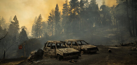 Anhaltende Dürre: Waldbrände in Kalifornien zerstören hektarweis...