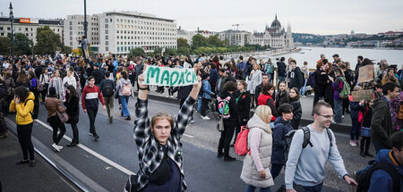 Lieblingslehrer machen die Biege: Schüler protestieren in Budape...