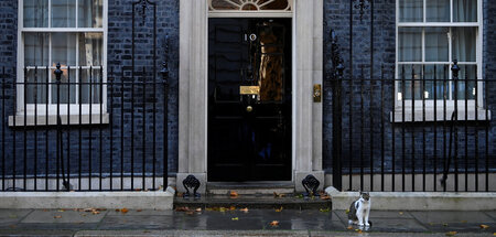 Kater Larry wartet vor Downing Street Nr. 10 auf den neuen Premi...