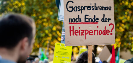 Spannende Frage: Teilnehmer einer Kundgebung in Stuttgart am Son... Spannende Frage: Teilnehmer einer Kundgebung in Stuttgart am Son...