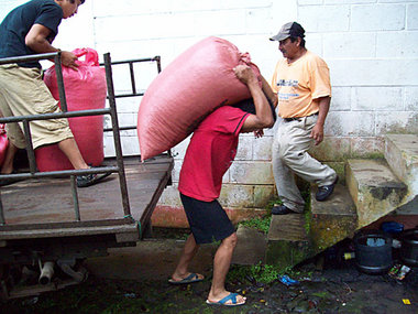 Abgeladen: Die Säcke mit den getrockneten Kaffee­bohnen sind noc...