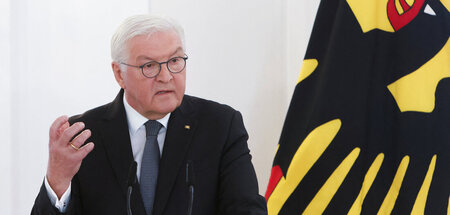 Bundespräsident Frank-Walter Steinmeier am Freitag in seinem Amt...