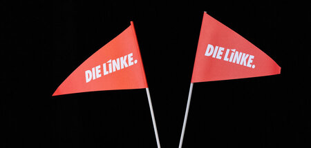 Unterschiedlich ausgerichtet: Fähnchen beim hessischen Linke-Lan... Unterschiedlich ausgerichtet: Fähnchen beim hessischen Linke-Lan...