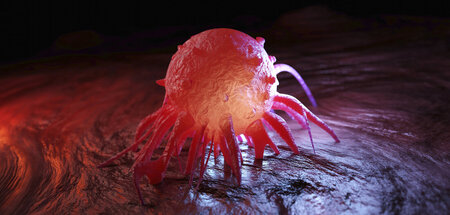 »Den Namen ›Burkitt‹ habe ich vorher nie gehört ...«