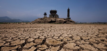 Viel zu trocken. Auch China hatte in diesem Jahr mit einer Dürre...