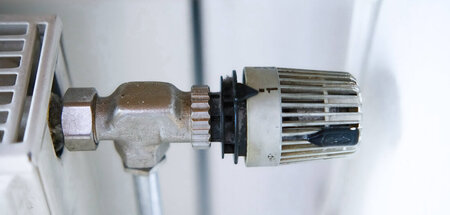 imago0194105062h.jpg