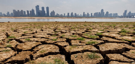 Die Kosten für Klimafolgen wie Dürren dürften bis 2030 auf 580 M...
