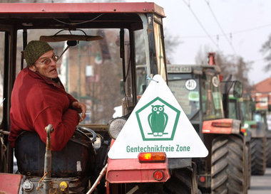 Im Fall der Pharmakartoffel könnte Landwirtschaftsministerin Aig...