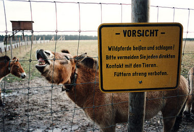 Auch Pony ist kein Traumjob
