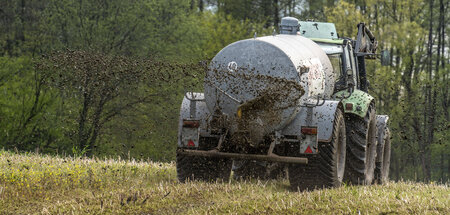 Gefährdet das Grundwasser: Zu viel Stickstoff im Boden auf den Ä...