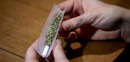 Nicht der Konsum, jedoch der Besitz von Cannabis wird weiterhin
