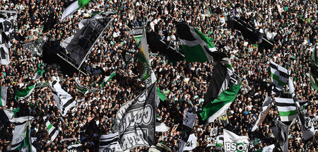Bei einem Bundesligaspiel zwischen Köln und Mönchengladbach