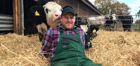 Die Kühe von Sven Ole bekommen nur noch Heu und Gras zu fressen Die Kühe von Sven Ole bekommen nur noch Heu und Gras zu fressen