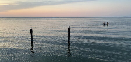 Wasser, so weit das Auge reicht: Das Stettiner Haff nahe Ueckerm...
