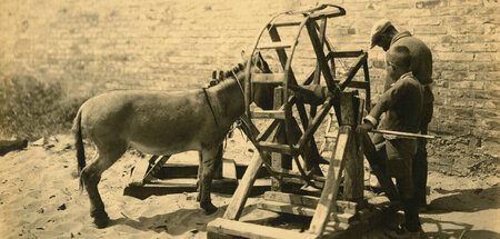 Der Wagner und sein Esel (Italien, 1880)