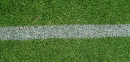 Der Kreis – als Linie vorgestellt