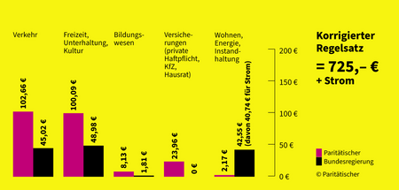 Regelbedarfe 2023 (Singlehaushalt): Bundesregierung vs. Paritäti...