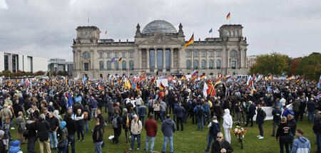 AfD-Anhänger bei einer Kundgebung vor dem Reichstagsgebäude (Ber...