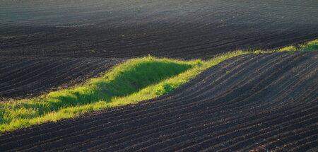 Umkämpftes Terrain in der Uckermark: Agrarflächen als Anlagen fü... Umkämpftes Terrain in der Uckermark: Agrarflächen als Anlagen fü...