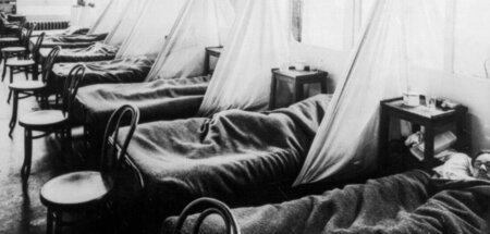 Siechen, dahinscheiden, sterben: Opfer der Spanischen Grippe in ...