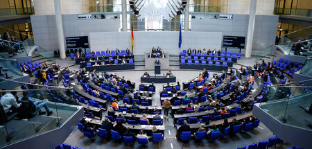 Treffen »informierte« Entscheidungen: Die Abgeordneten und Vertr...