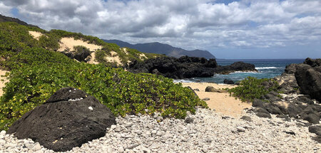Bedrohtes Idyll: »Hawaiis versteckte Paradiese«