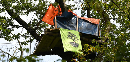 Baumhaus im bedrohten Wald am Teufelsbruch im Osten von Frankfur...