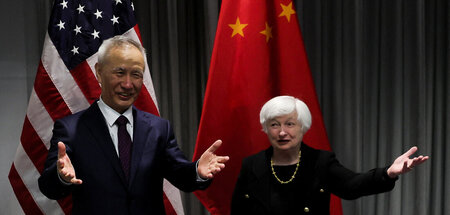 Nach Davos mochte die US-Finanzministerin nicht auch noch reisen...