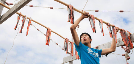Daniel hilft seinem Onkel Ruslan, das Traditionsgericht Jukola z...