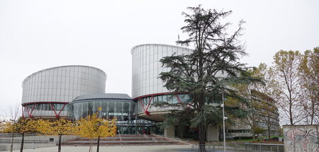 Cour_européenne_des_droits_de_l'homme_(Strasbourg)_(2).jpeg