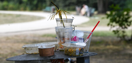 Hinterlassenschaft: Kunststoffpartymüll im Treptower Park (Berli...