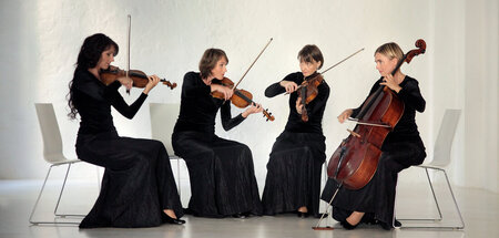 Seit 1991 unverändert: Das Klenke-Quartett Seit 1991 unverändert: Das Klenke-Quartett