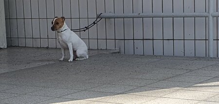 Ohren angelegt: Donnerstag mittag vor dem Jobcenter Mitte