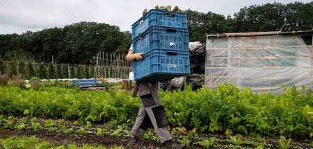 Biodynamischer Gemeinschaftsgarten, bestens kompostiert für zahl...
