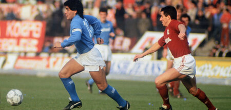 Ein Gruß an das Schlitzohr: Die SSC Napoli spaziert Richtung Scu...